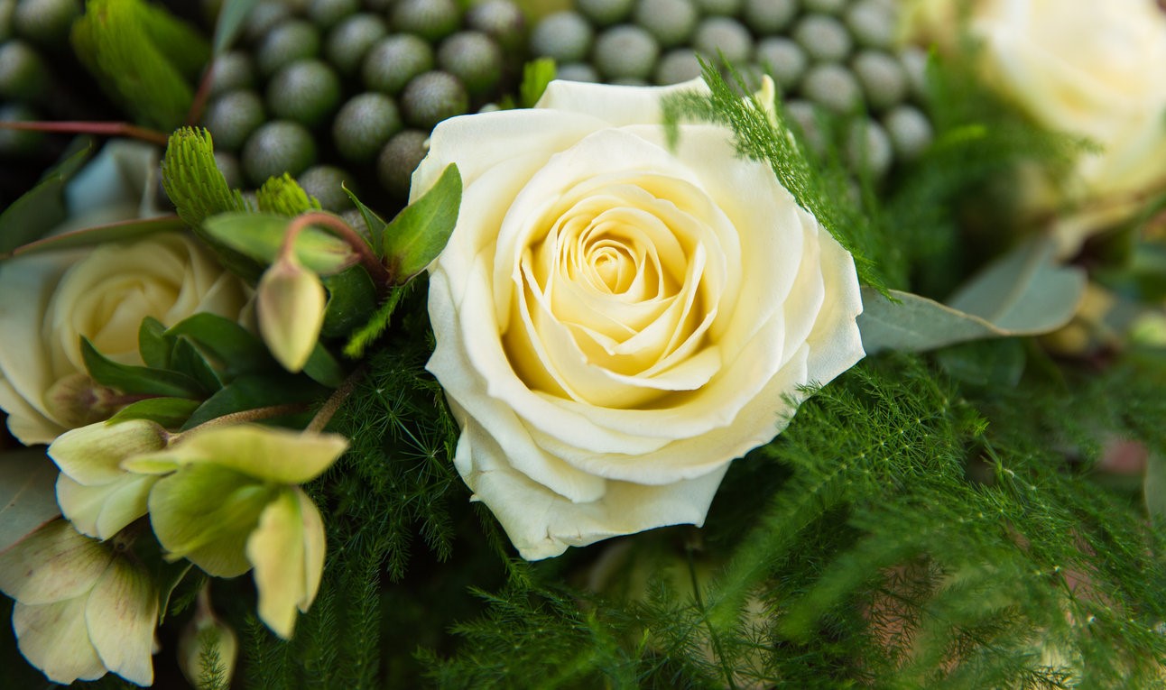 Events & Weddings Events & Weddings