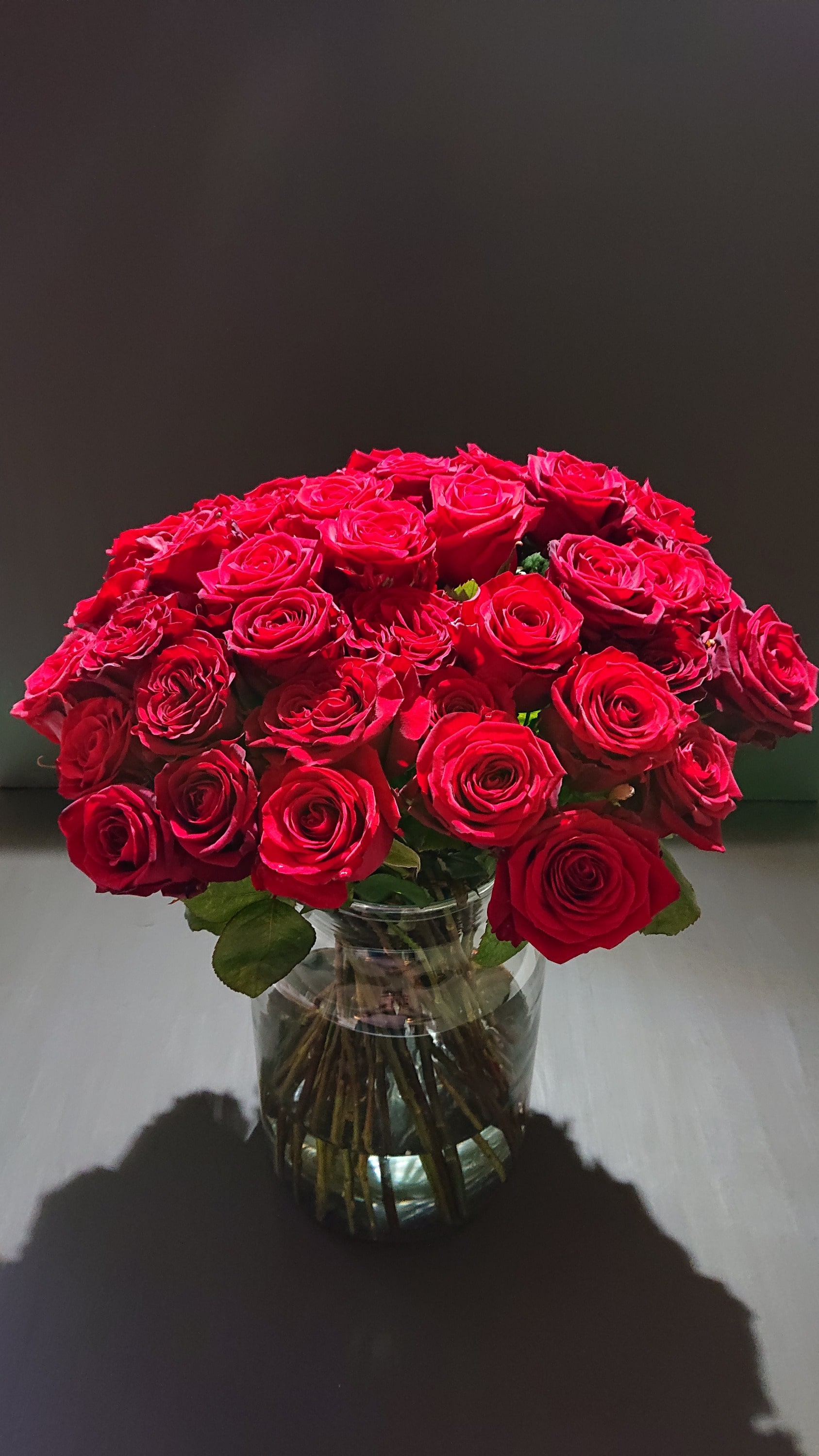Luxury Roses