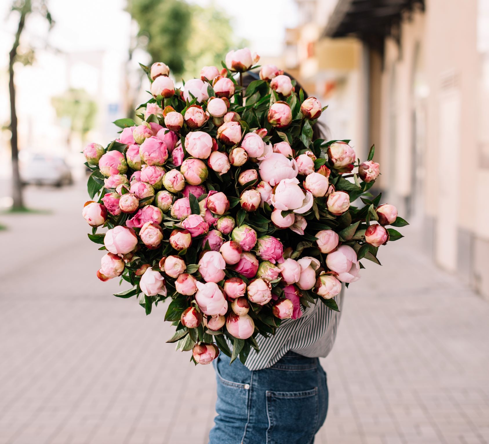Summer Flowers