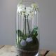 Oval shape glass terrarium with orchid